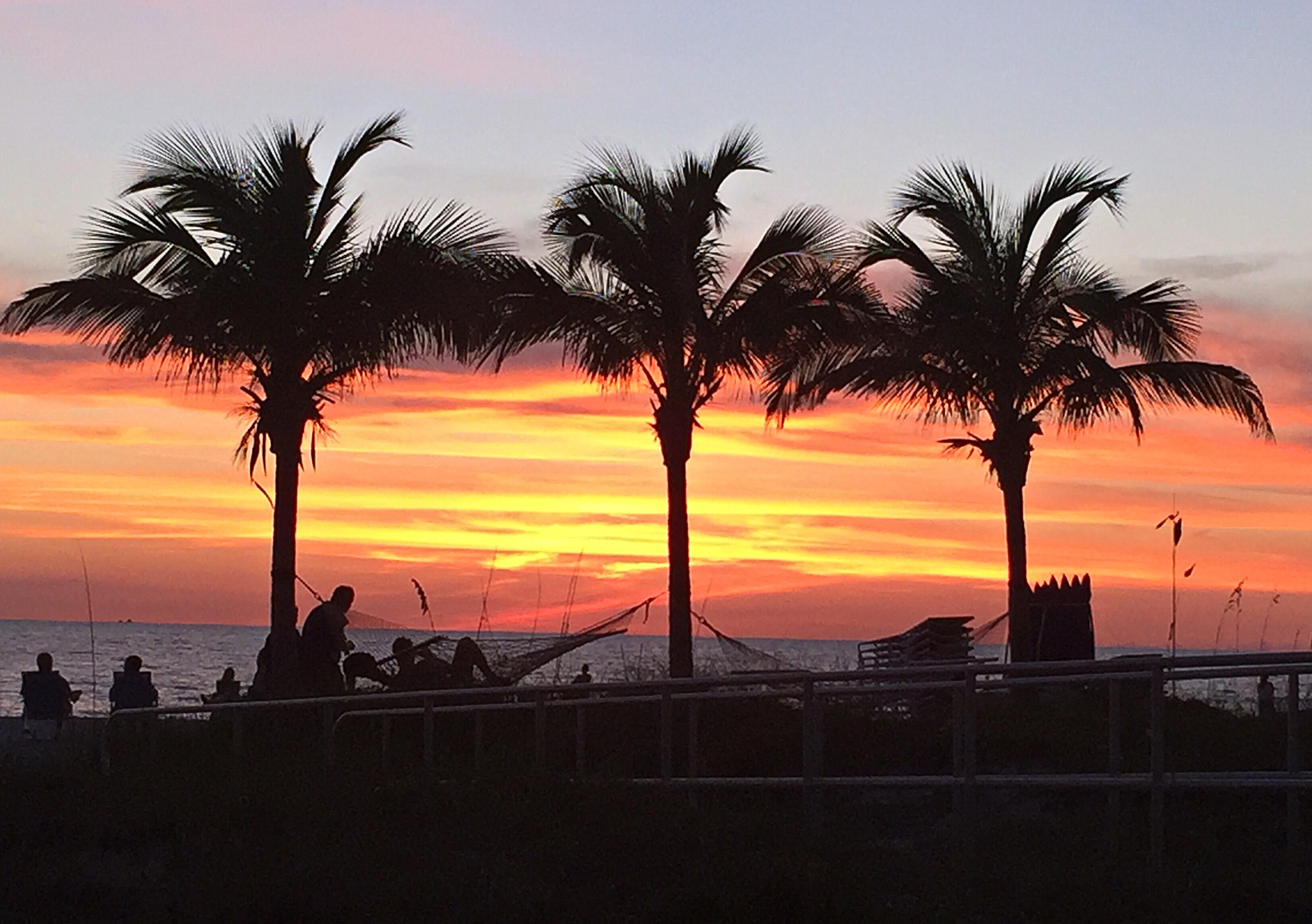 Spectacular Gulf of Mexico sunset at Archibald Beach Park 15100 Gulf Boulevard Madeira Beach Florida with palm tree silhouettes and people fishing from the pier - year-round vacation rental appeal Pinellas County